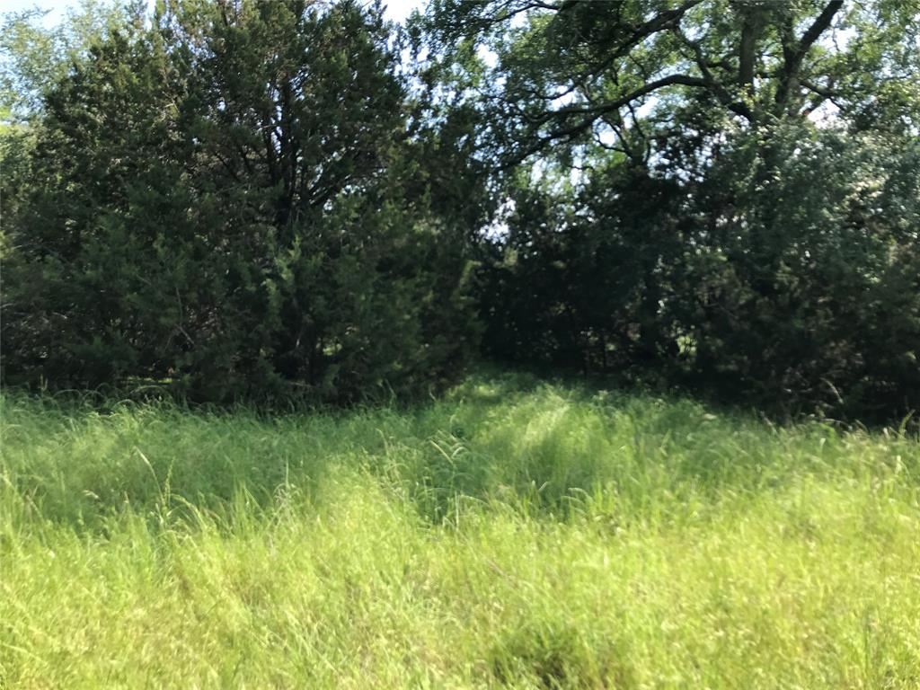 White Bluff #17 - Land