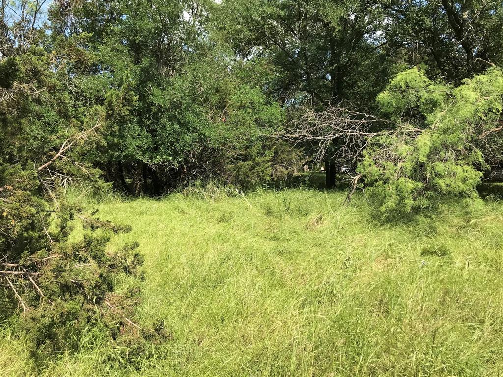 White Bluff #17 - Land