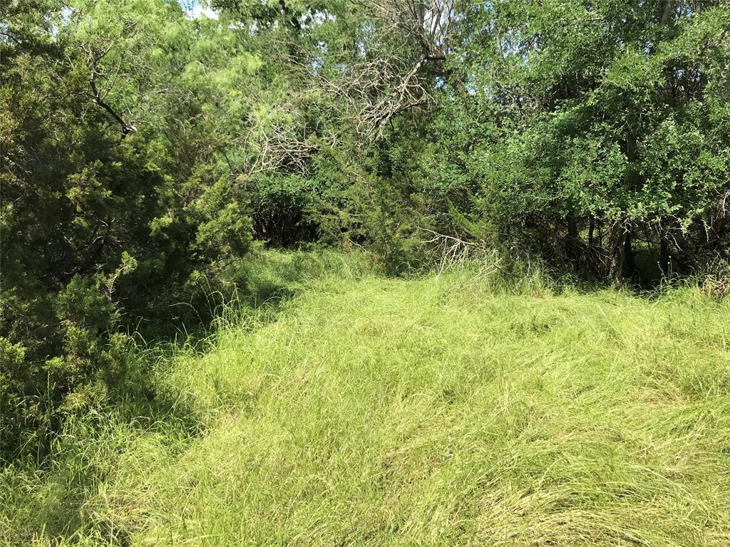 White Bluff #17 - Land