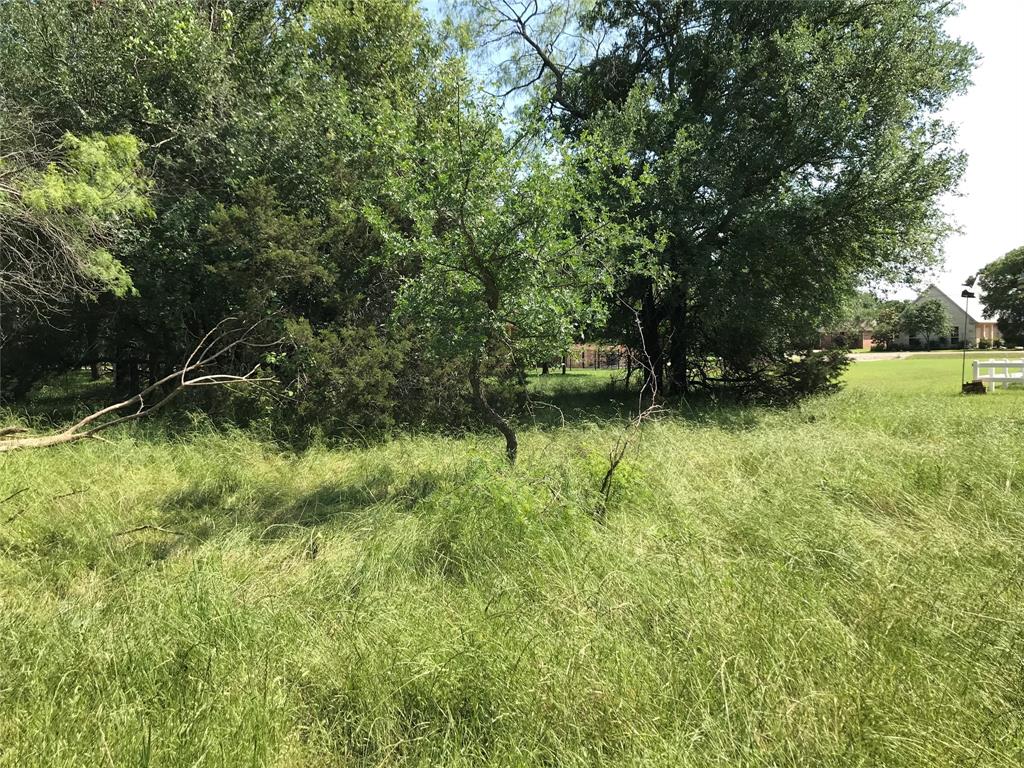 White Bluff #17 - Land