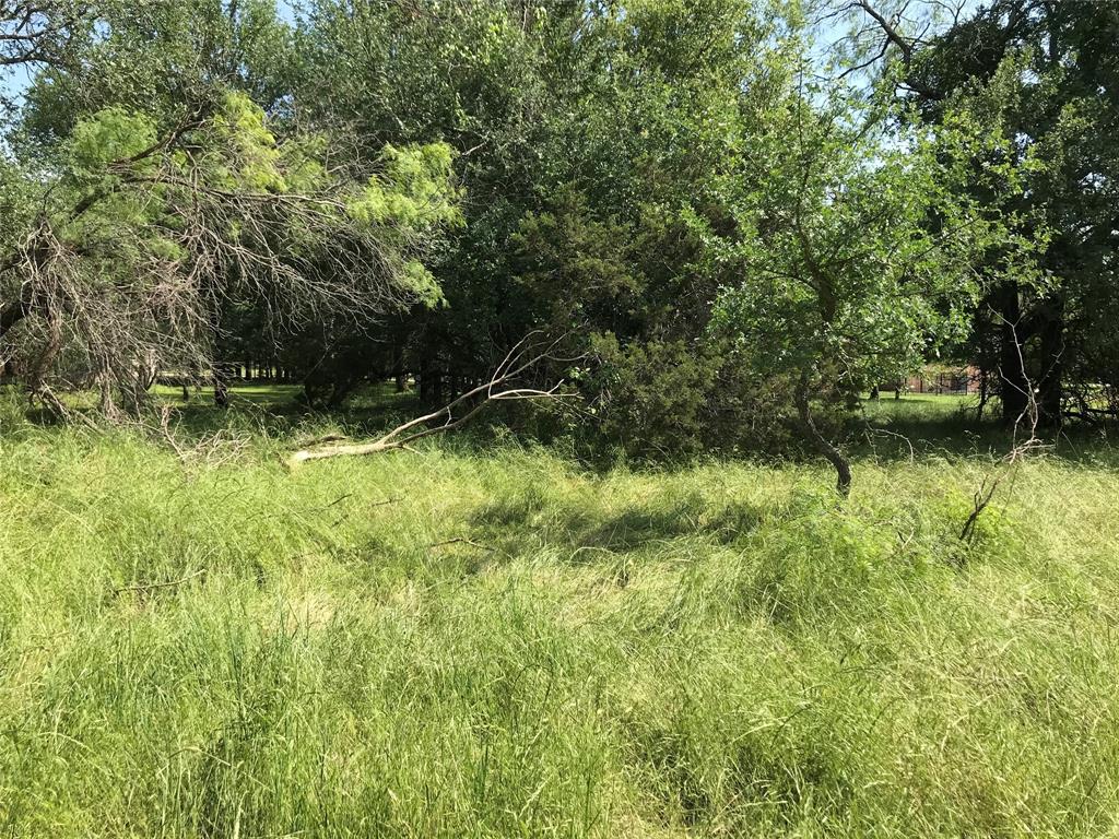 White Bluff #17 - Land