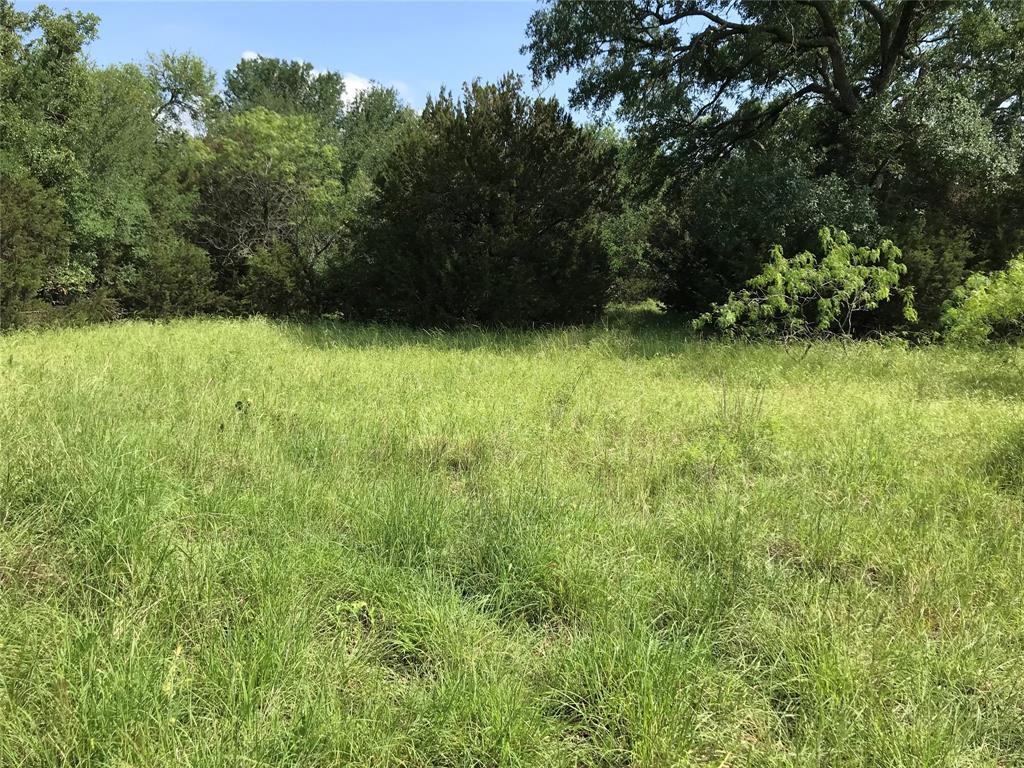 White Bluff #17 - Land