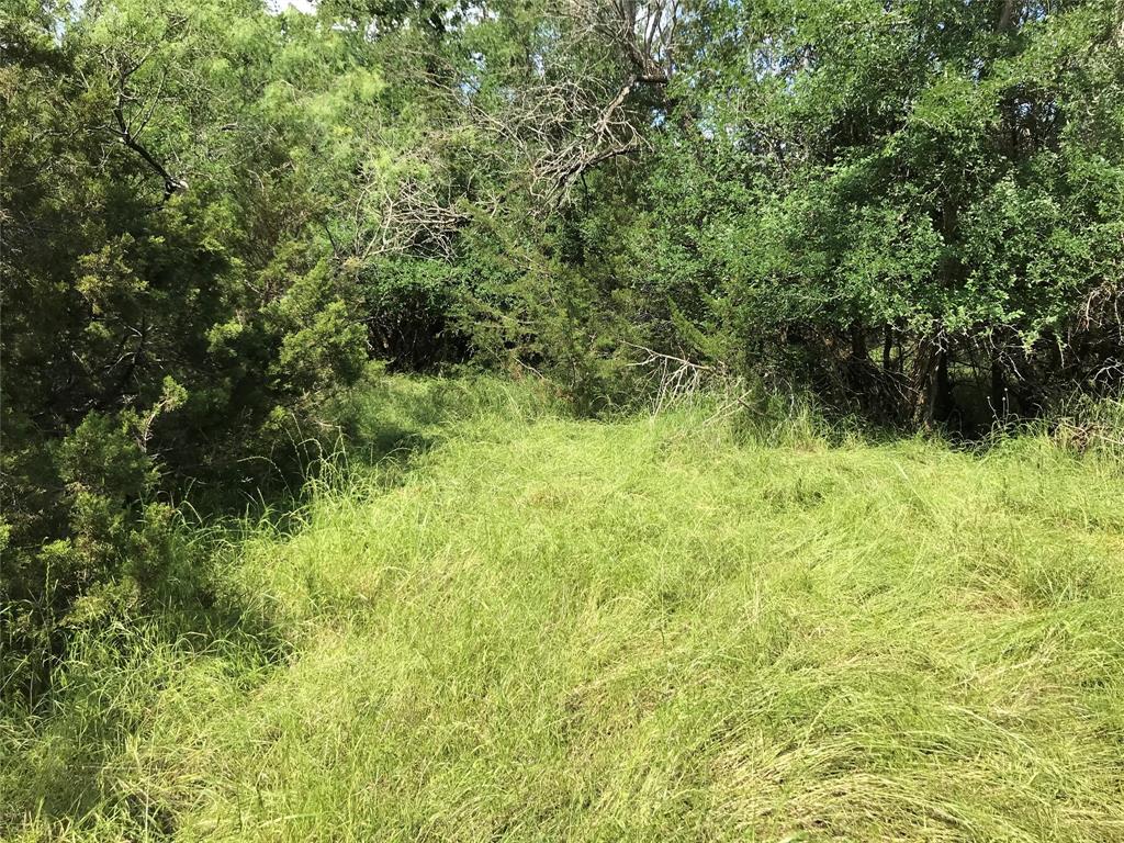 White Bluff #17 - Land