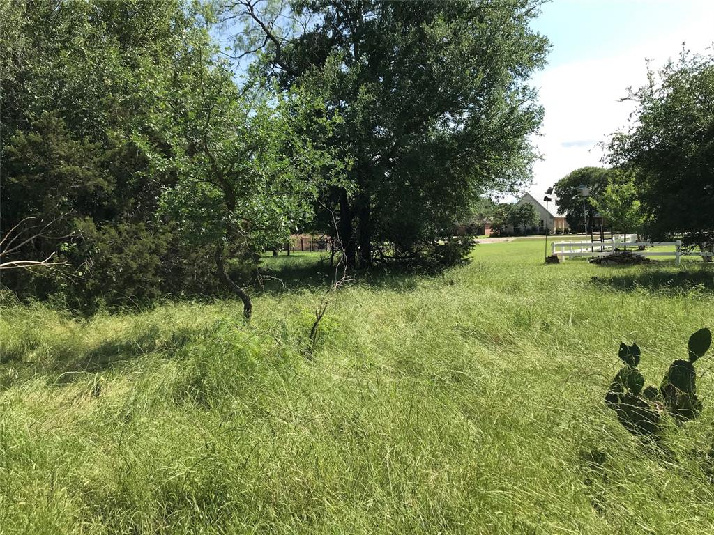 White Bluff #17 - Land