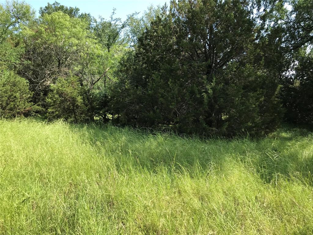 White Bluff #17 - Land