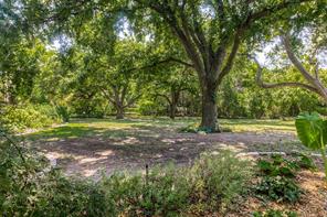 1226 E Campbell Road