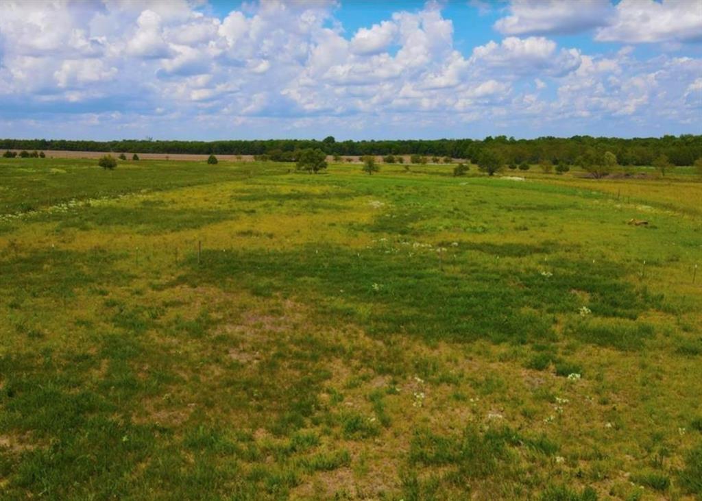 871 County Road 15190