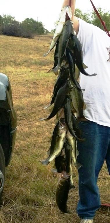 ABS A0003 DRURY ANGLIN SURV EY, SHEET 2 - Land