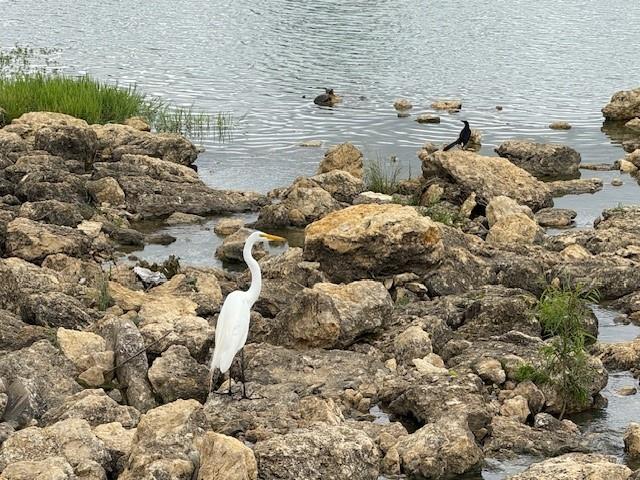 Seventeen Lakes Add - Residential