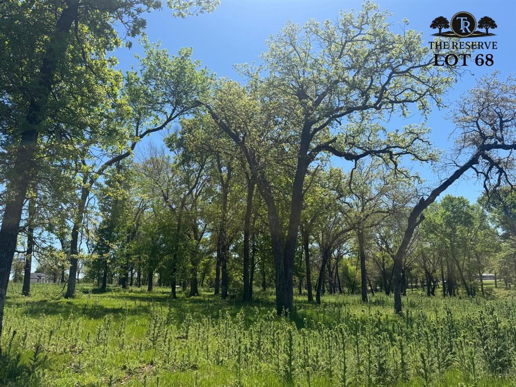 The Reserve at Taylor Ranch - Land