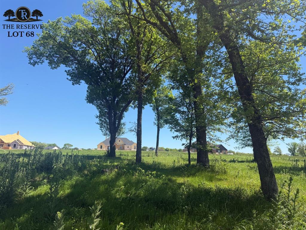 The Reserve at Taylor Ranch - Land