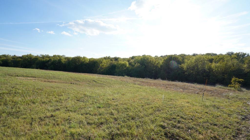 14215 County Road 606 Lot 2