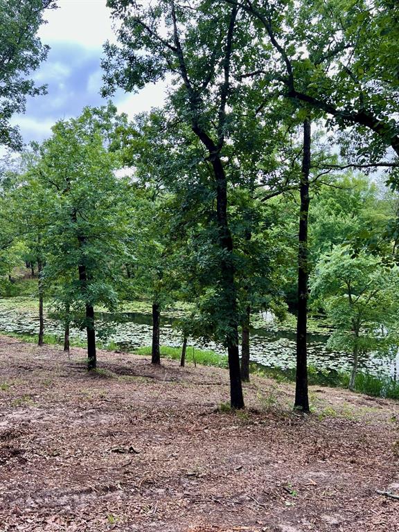 7721 County Road 4801