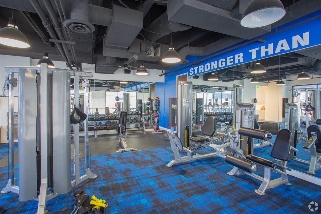 Coles Vinyard Add - Commercial Lease