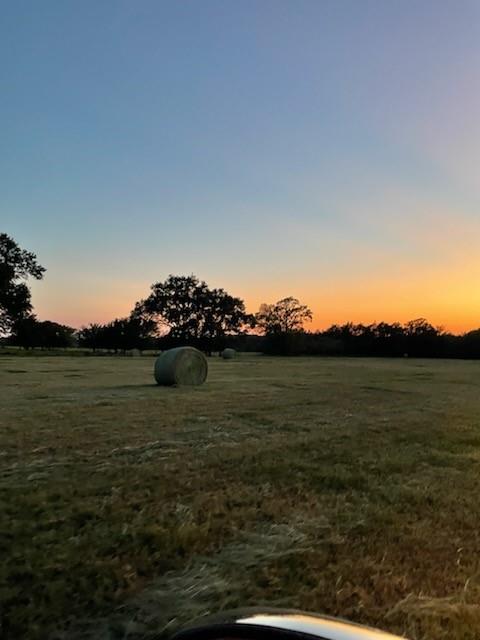 61.32 acres County Road 3417