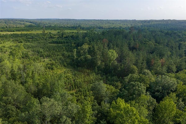 COUNTY RD 436, LANEVILLE, TX 75667 - Image 964a3fb52f1e6ded6f2d8b47bcfa89f3/2047826066