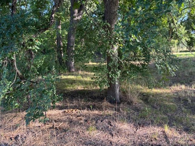 John M Thomas - Land