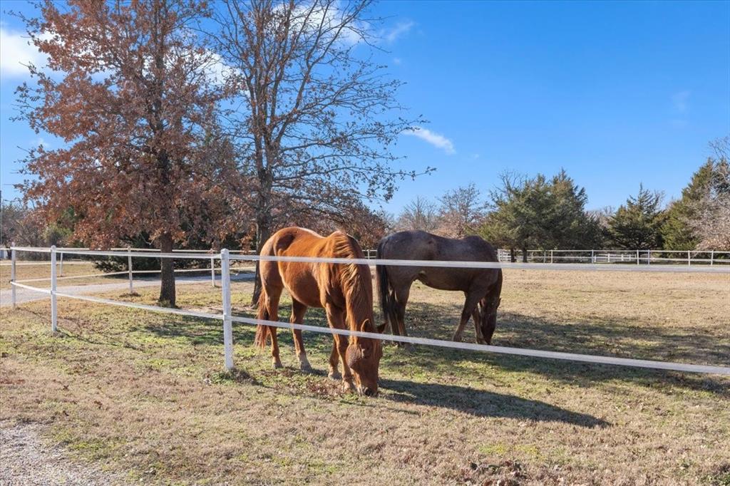 Horsemans Ranch - Land