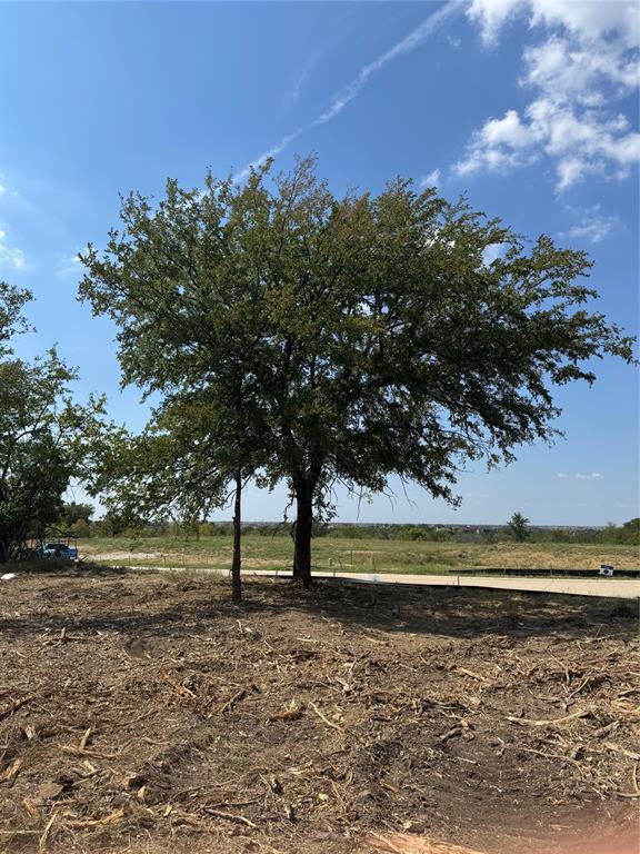 Hills of Kingswood - Land