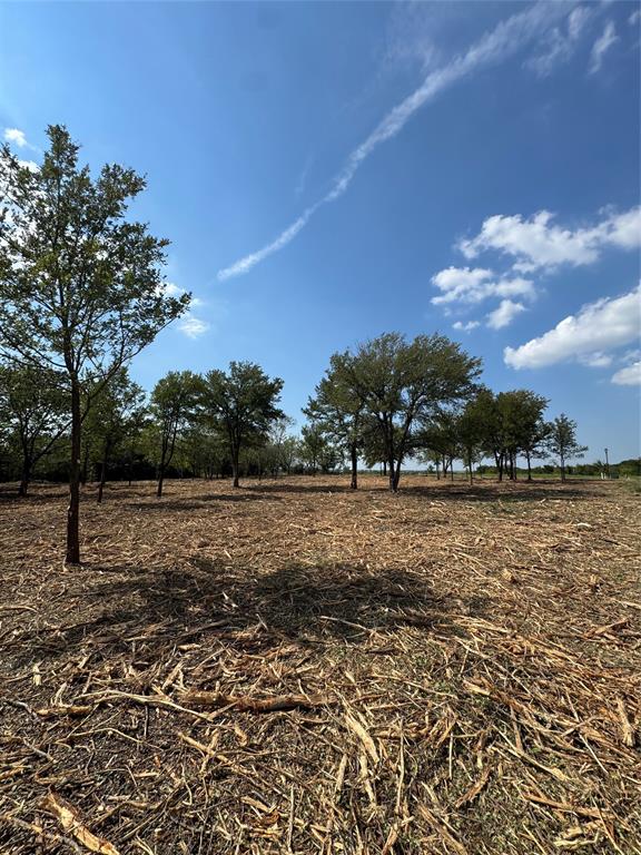 Hills of Kingswood - Land