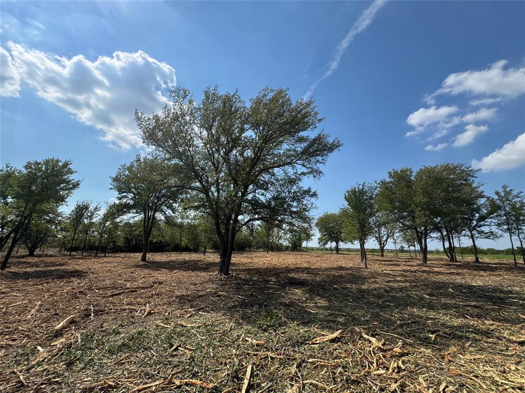 Hills of Kingswood - Land