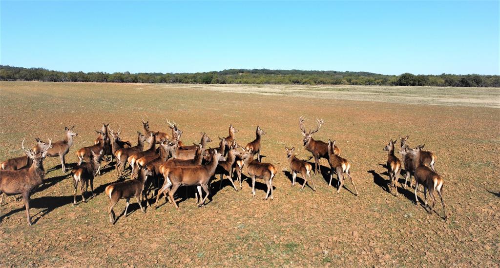 A Mc Cormick 364 - Farm