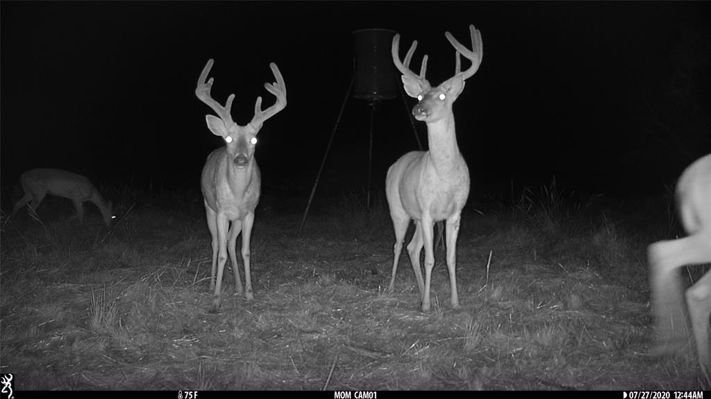 1078 County Road 498