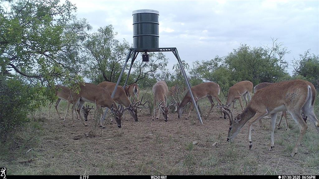 1078 County Road 498