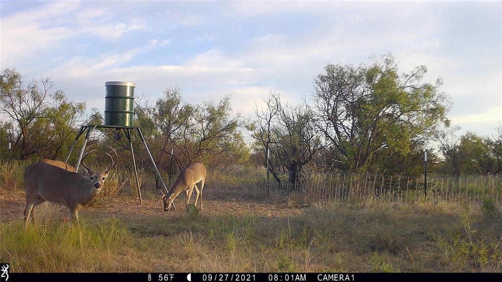 1078 County Road 498