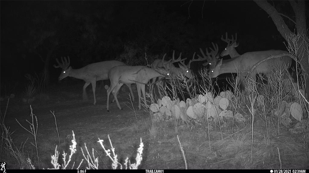 1078 County Road 498