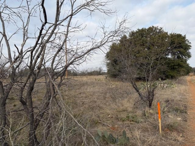 4643 County Road 296 Tract 1