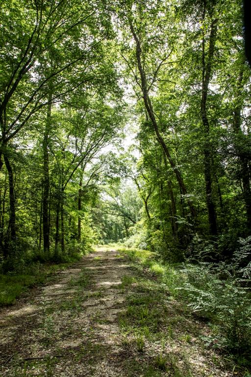 TBD County Road 47