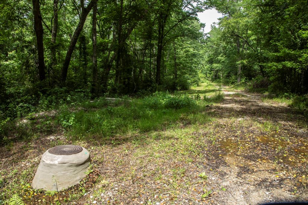 TBD County Road 47