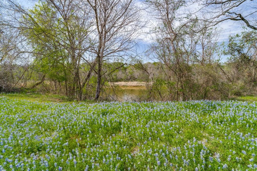 Pecan Plantation - Residential