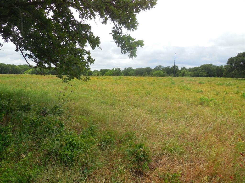 TBD County Road 488