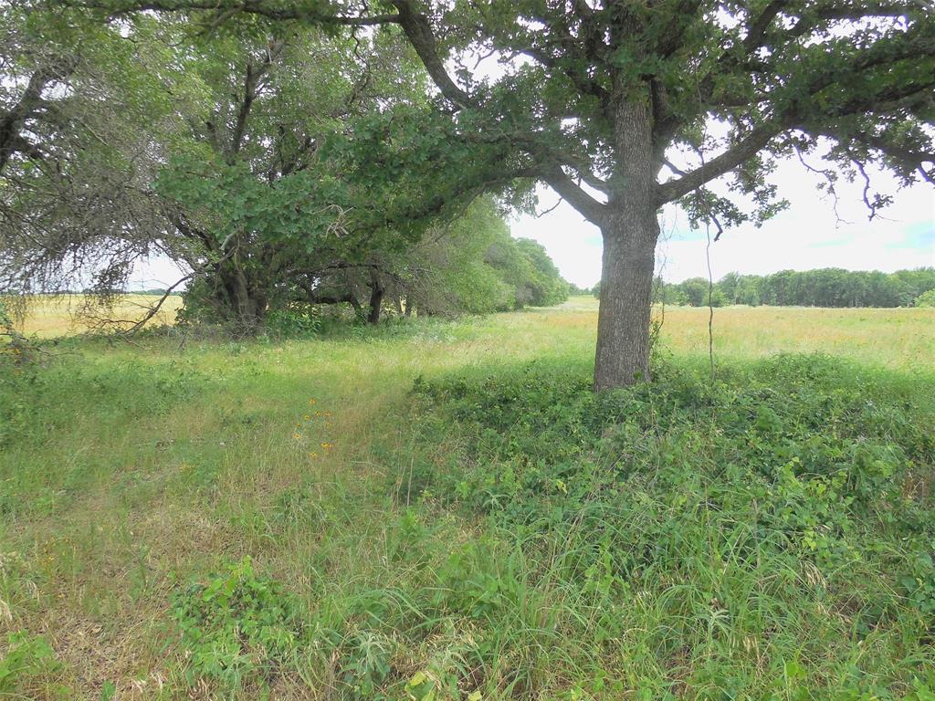 TBD County Road 488
