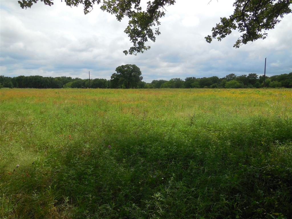 TBD County Road 488
