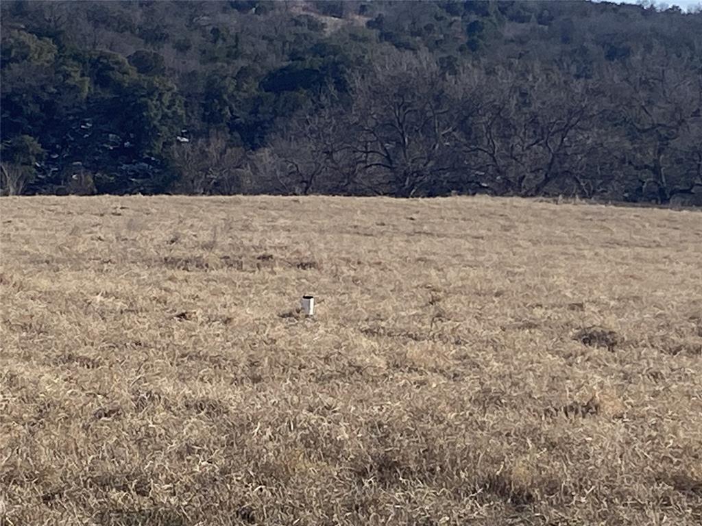 Lot 133 River Shoals