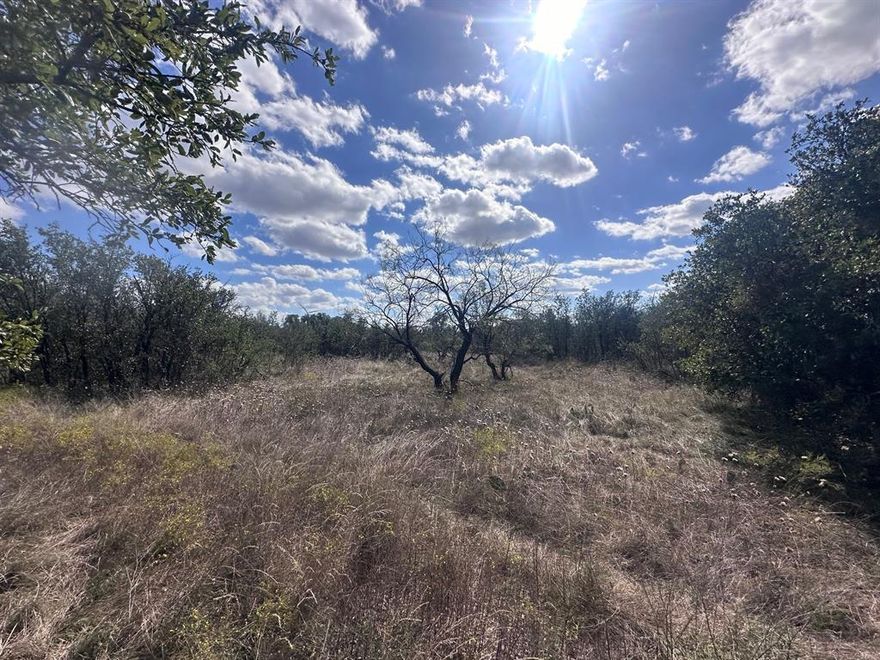Over 12 acres of gorgeous land just minutes from town and from Lake Cisco, but having the privacy of being out in the country!  Covered with Oak trees.  There is a seasonal pond in back of property.  Over 1400 ft of frontage along HWY 6.  Perfect to build your dream home, a hunting cabin, or even an RV park!