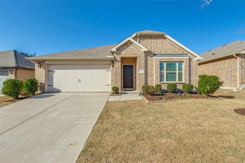 1217 Morning Ridge Trail, Aubrey, TX 76227 - MLS#: 20875337