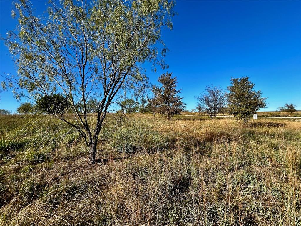 Bear Creek Ranch - Land