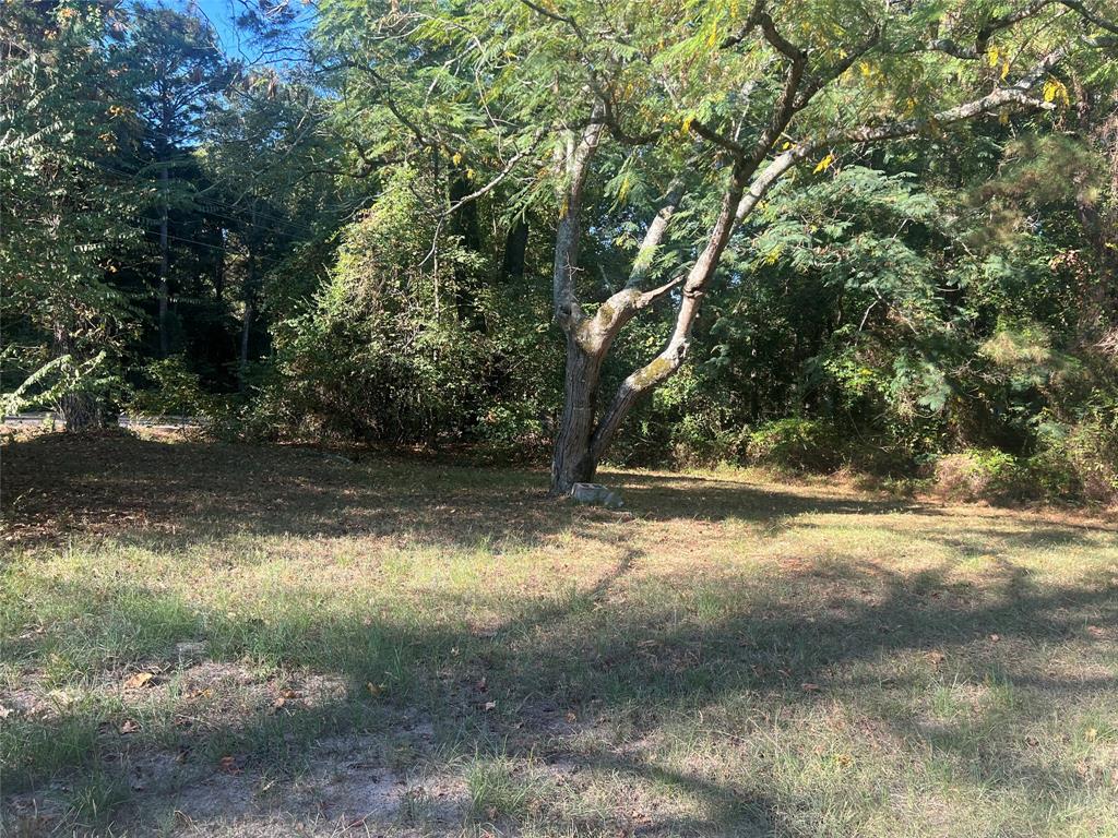1855 Highway 162