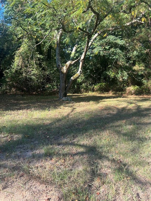 1855 Highway 162
