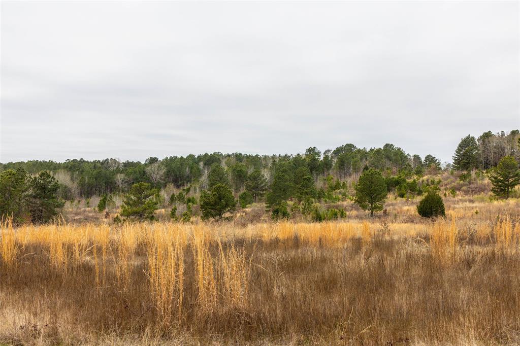 0 County Road 4243D