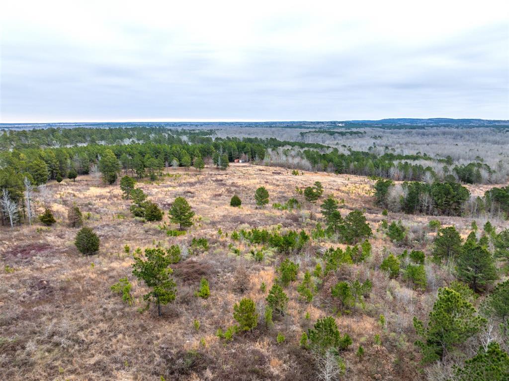 0 County Road 4243D