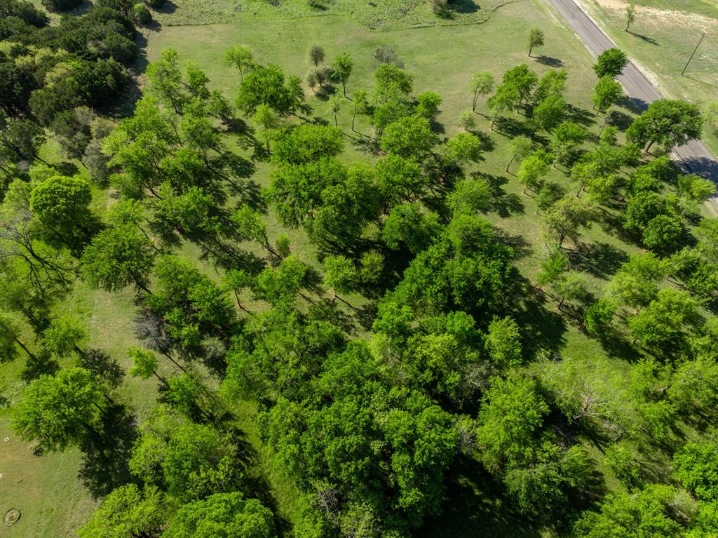 White Bluff #01 - Land