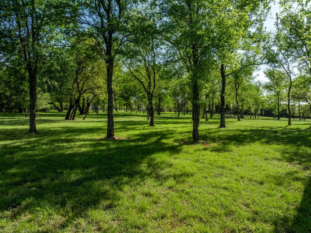 1628 White Bluff Drive