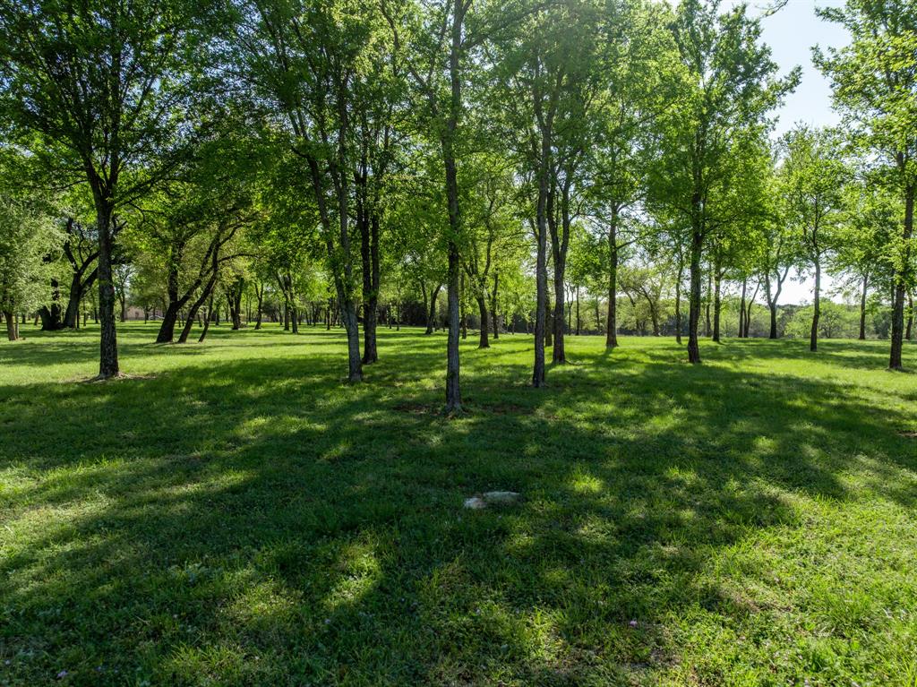 1628 White Bluff Drive