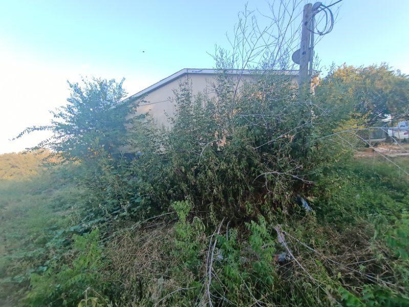 135 County Road 3048