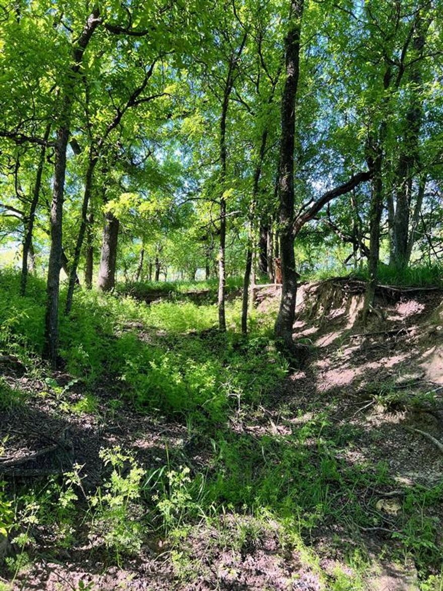 Great place for your dream home! 40.73 Acres just outside of the city limits on pavement! New entrance, trees, wet weather creek runs through the middle of the property. This is a great spot to get away from the city...hunt, relax or build a beautiful home convenient to town. Currently Ag Exempt with No Restrictions! Survey available. Buyer & buyers agent to verify all info.